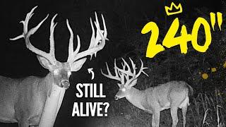 We found an Ohio 240" Urban Giant Buck... AND HE'S ALIVE!