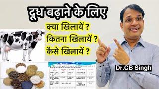 दूध बढ़ाने के लिए क्या खिलायें ? | Feeding of dairy animals | Dr CB Singh | Dairy Ustaad