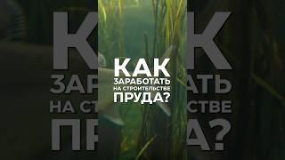 Как заработать на строительстве пруда?