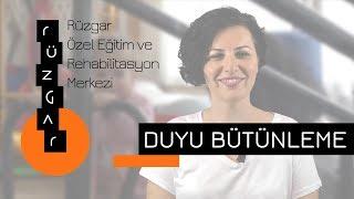 Duyu Bütünleme Nedir? Rüzgar Özel Eğitim ve Rehabilitasyon