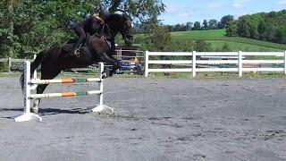 Getting to know one of our jumping horses...