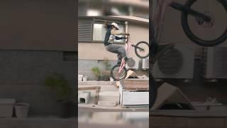 今日の娘は自転車で一本橋の練習