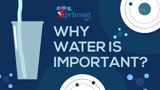 Importance of Water in Life | Importance of Water