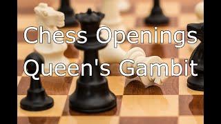 The Queen's Gambit: Chess Openings