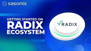 setting up your radix wallet (radix blockchain)