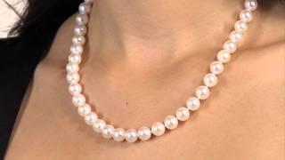 White Japanese Akoya Pearl Necklace, 18-Inch 8.5-9.0mm by Pure Pearls