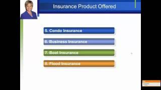 Introducing Austin Auto Insurance - Cheri Roman - Allstate