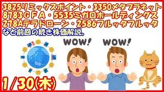 3825リミックスポイント・3350メタプラネット・8783GFA・5535ミガロHD・278Aテラドローン・2586フルッタフルッタなど前回の続き株価解説。(2025/1/30)