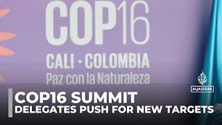 Cop16 biodiversity summit: Delegates push for new targets