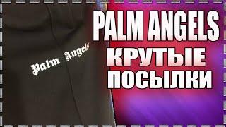 PALM ANGELS КРУТЫЕ классные НЕДОРОГИЕ ШОРТЫ с ALIEXPRESS за 20$. ЭКОНОМИМ ПО КРУПНОМУ. КИТАЙ ЗЕРГУД.