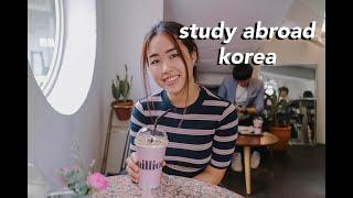 [KOREA STUDY ABROAD VLOG] Eating LIVE octopus and seeing Zico LIVE!! 