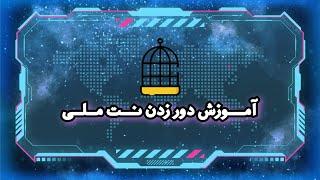 دور زدن اینترنت ملی | یا نه پیدا کردن وی پی ان