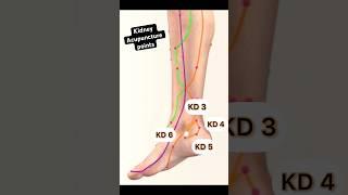 The Kidney Meridian Acupuncture Points #acupuncture