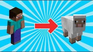 How to morph into anything with commands | Minecraft Bedrock