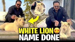 White lion ka name final white lion ka collar remove 