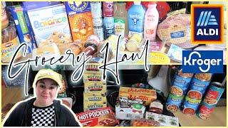 Thanksgiving Haul | KROGER & ALDI WEEKLY GROCERY HAUL | 1-Week Haul & Meal Plan | NOVEMBER 2024