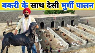 पंजाब पुलिस की नौकरी के साथ बकरी पालन + मुर्गी पालन | Goat farm tour