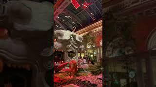 A view of the Bellagio Conservatory and Botanical Garden 2