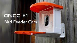 New Released--GNCC B1 Smart Bird Feeder Cam with VicoHome APP