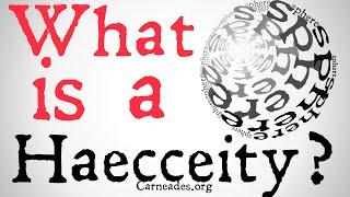 What is a Haecceity? (Metaphysics)