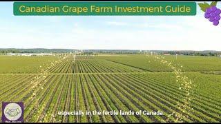 Canadian Grape Farm Investment Guide