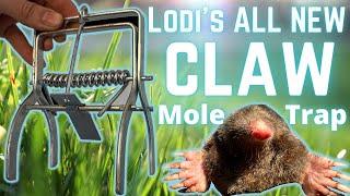 How to Set Talpex style Mole Traps - SUCCESS EVERY TIME!!! Road test of LODI's mole CLAW TRAP!!!