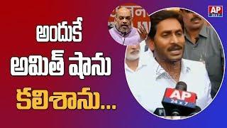 AP CM YS Jagan Reveals Amit Shah Meeting Topics after Meeting | AP24x7