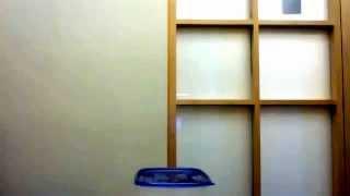 duchamp