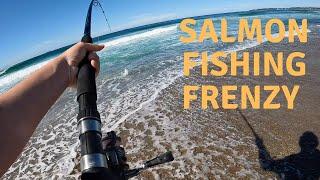 The Salmon Did Not STOP!!! (Beach Fishing Central Coast)