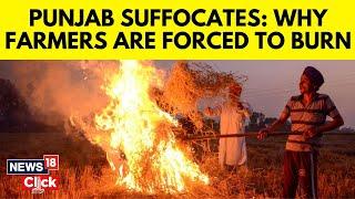 Punjab Suffocates: 'The Shocking Truth Behind Stubble Burning In Sangrur' | Air Pollution | N18V