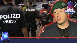 HEIKLE SITUATION! Schaulustige kommen 47 Kilo schwerem POLIZEIHUND zu nah !!! | Polizeihunde | ATV