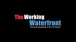 The Working Waterfront - American Aquaculture in the 21st Century