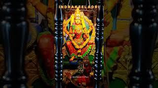 #indrakiladri #kankadurgamma#vijayawada #realgod