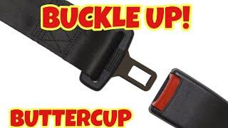 TURMOIL TUESDAY - Buckle Up! Buttercup!