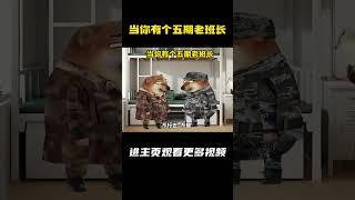 当你有个五期老班长 #军旅 #万万没想到 #兵哥哥 #内容过于真实