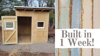 How to Build a Goat Shed (in 1 Week!)