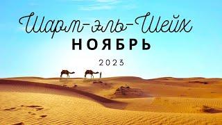 ШАРМ-ЭЛЬ-ШЕЙХ В НОЯБРЕ. Vlog