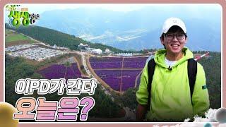 이PD가 간다 : 이PD가 간다 오늘은? [2TV 생생정보] | KBS 241017 방송