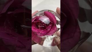 Transforming Flowers with Nano Glue: A CraftingAdventure! #Shorts #nanotape #foryou