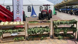 Soki olongi o réussir na bilanga ( agriculture) na plateau landa vidéo oyo