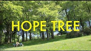 Hope Tree