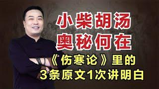 小柴胡汤奥秘何在？伤寒论关于小柴胡汤的3条原文，中医详细解读！邹勇巧解伤寒论！