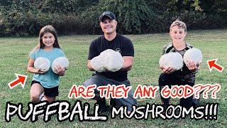 We Tried PUFFBALL MUSHROOMS for the FIRST TIME...Here’s our thoughts.. (INTERESTING!)