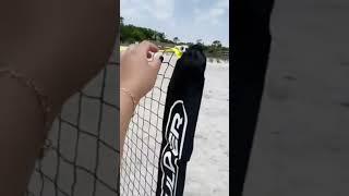 Boulder Portable Nets