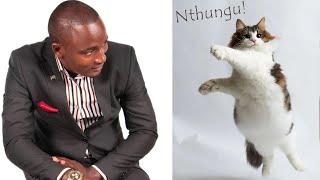 Funny Cat Dancing Wilberforce Musyoka  Funny Kamba Clips