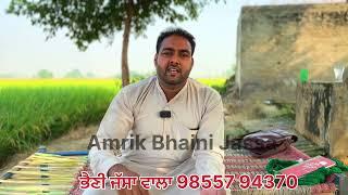 New punjabi songs 2024 | latest punjabi songs | Amrik bhaini jassa