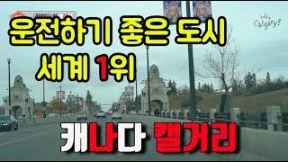 운전하기 좋은 도시 1위! 캐나다 캘거리 퇴근길 드라이빙