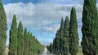 Tuscany’s Timeless Cypress Avenue: The Ultimate Italian Experience