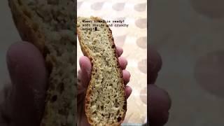 Whole wheat rustic bread
