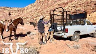 Ranching In The Red Cliffs. Heading To Johns Canyon